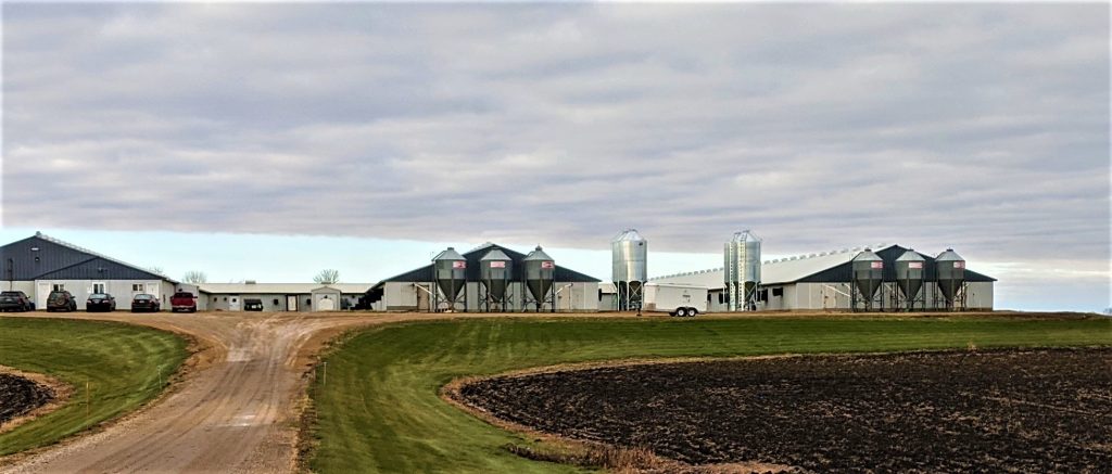 biosecurity, bin scales, bin monitoring system, feed control, precision feeding, sow health, bin scales, remote bin monitoring, cloud feed bin, bin weighing, lactation bin, bintrac, herdstar, precision farming