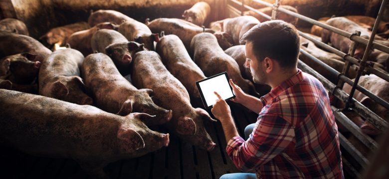 feed conversion, feed conversion ratio, biosecurity, bin scales, bin monitoring system, feed control, precision feeding, sow health, bin scales, remote bin monitoring, cloud feed bin, bin weighing, lactation bin, bintrac, herdstar, precision farming