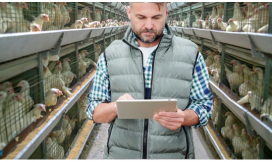 How to use data effectively