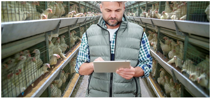 How to use data effectively