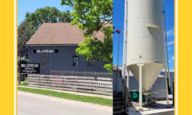 Mill Stream Brewing